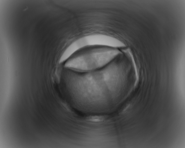 X0000083040088200703022058