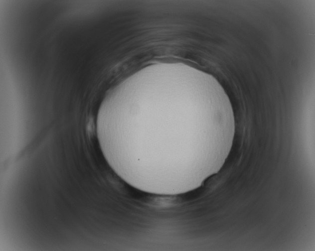 X0000083040089200703022058