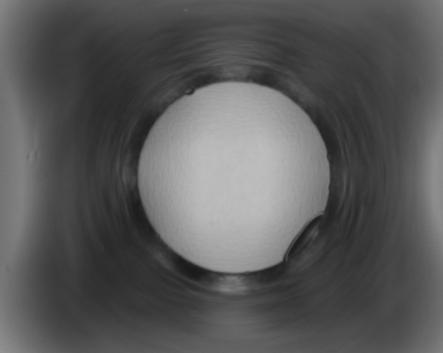 X0000083040091200703022058