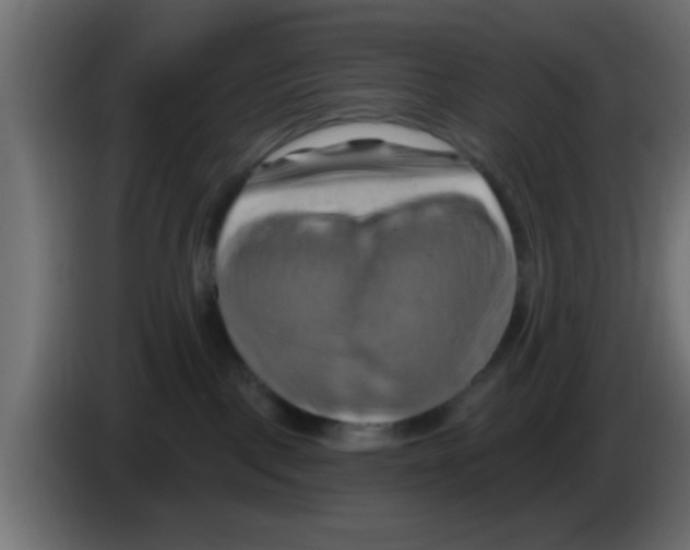 X0000083040093200703022058