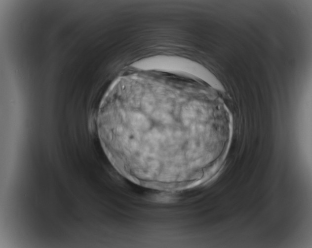 X0000083040094200703022058