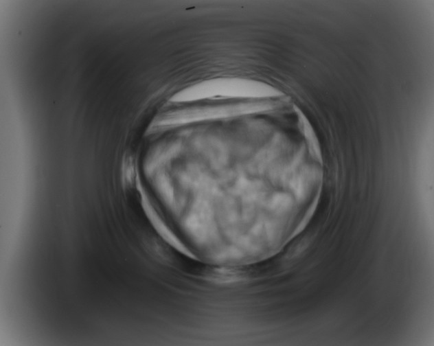 X0000083040095200703022058