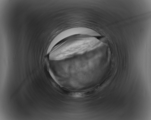 X0000083040096200703022058