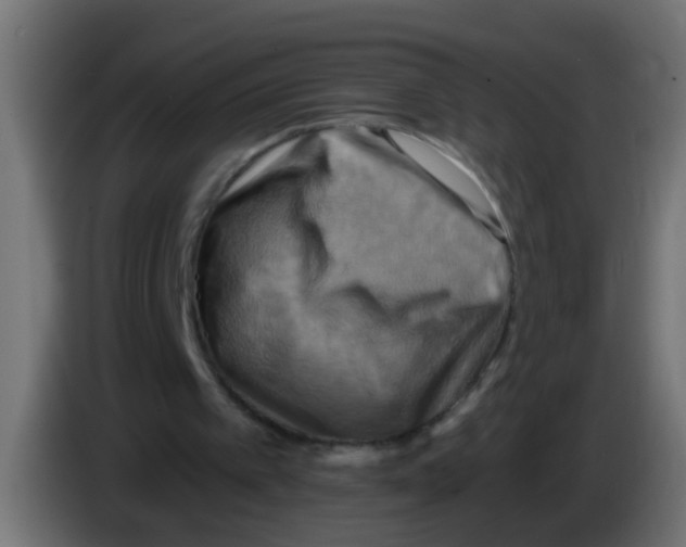 X0000083040097200703022057