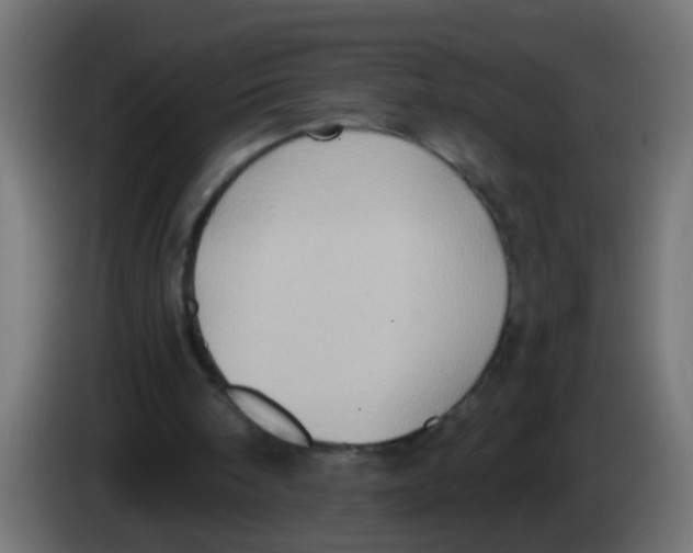 X0000083040098200703022057