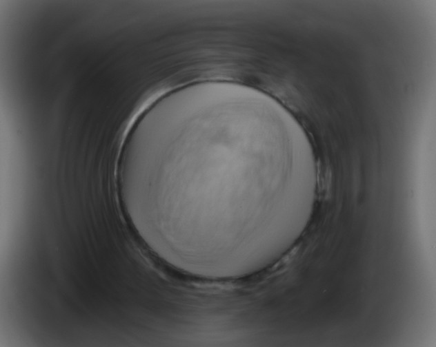 X0000083040099200703022057