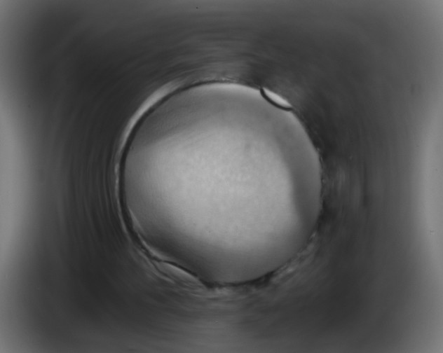 X0000083040100200703022057