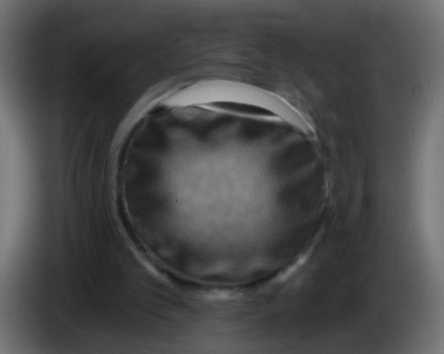 X0000083040101200703022057