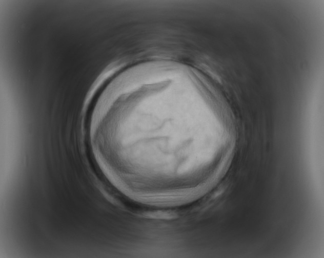 X0000083040102200703022057