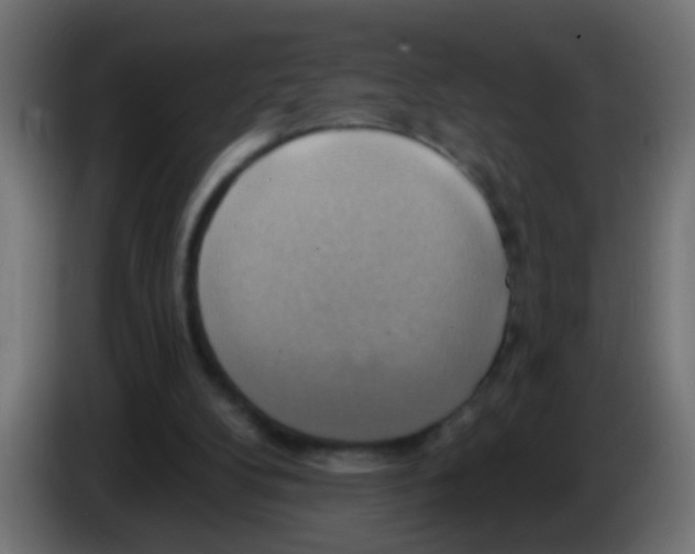 X0000083040104200703022057