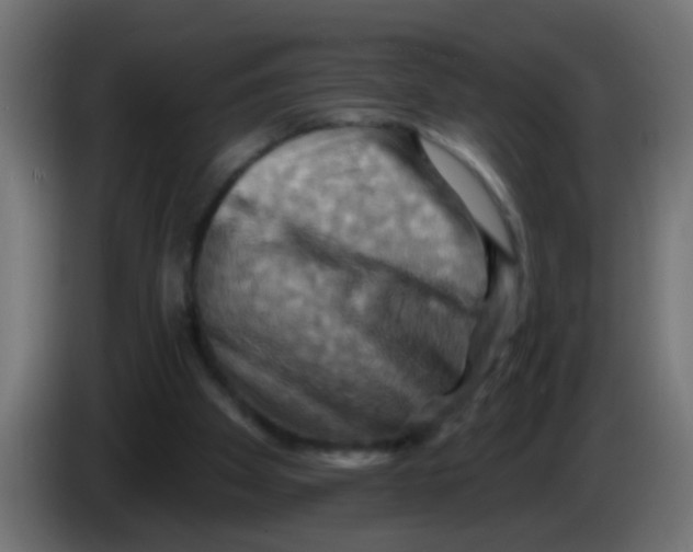 X0000083040105200703022057