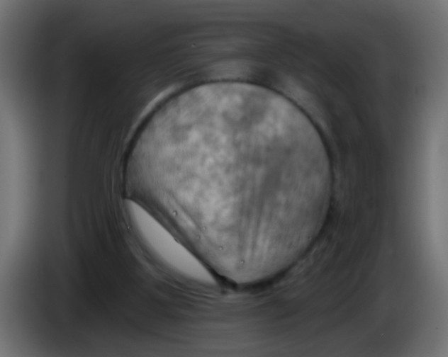 X0000083040107200703022057