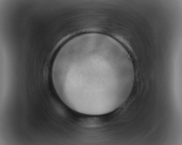 X0000083040108200703022057