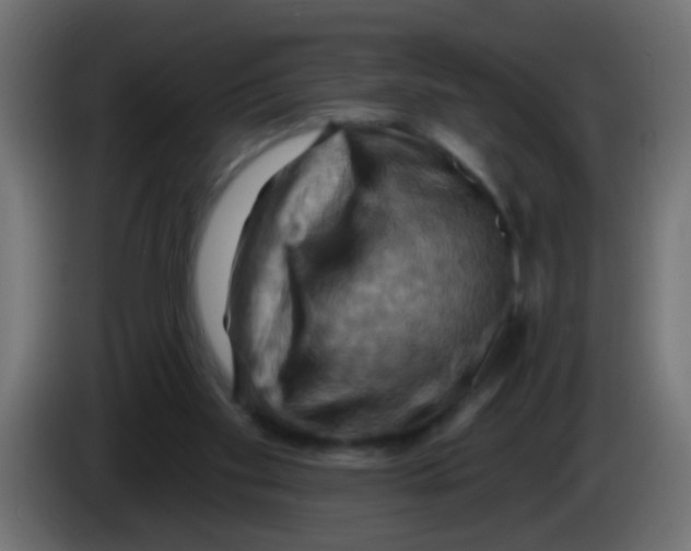 X0000083040109200703022057