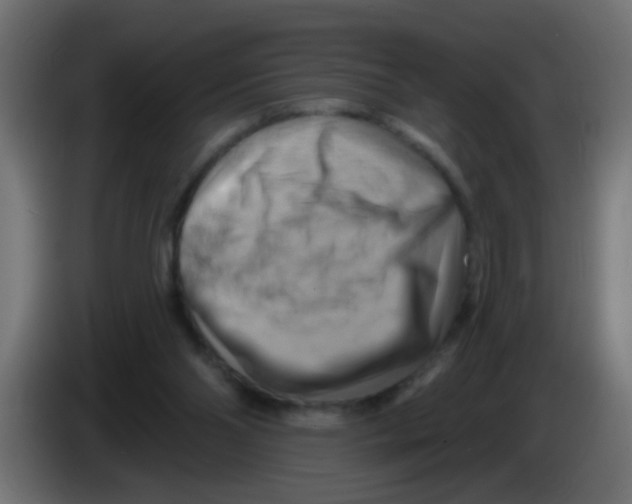 X0000083040110200703022057