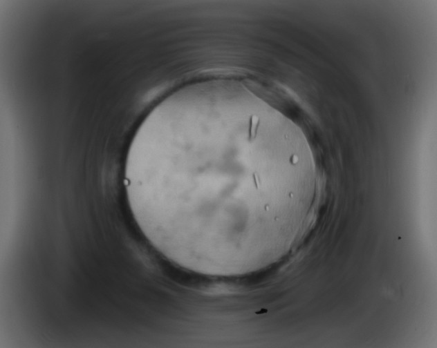 X0000083040111200703022057
