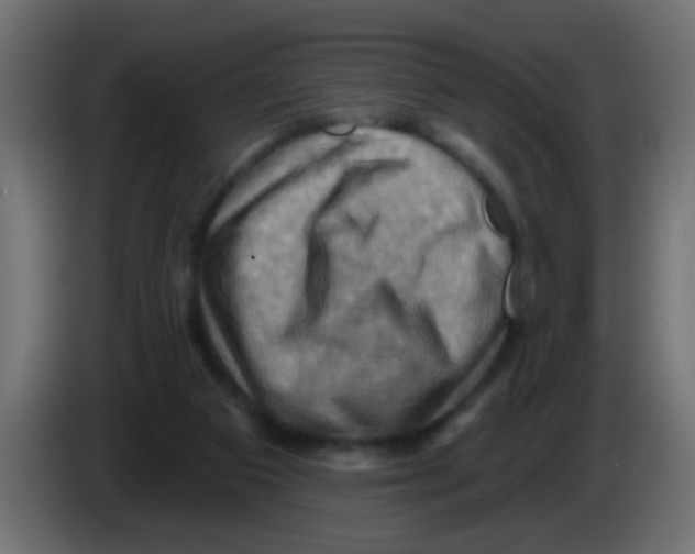X0000083040113200703022057