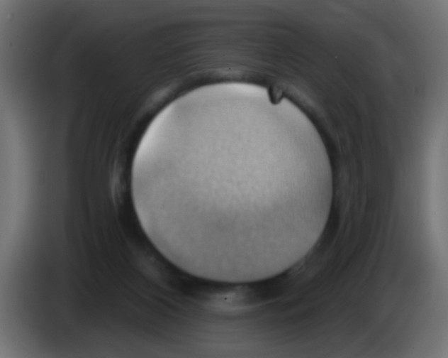 X0000083040116200703022057