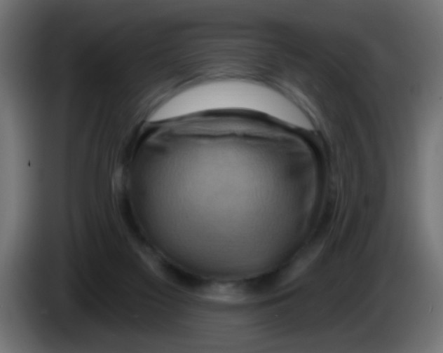 X0000083040117200703022057