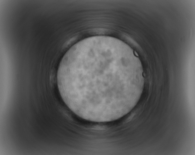X0000083040119200703022057