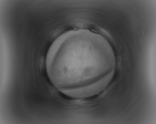 X0000083040121200703022057