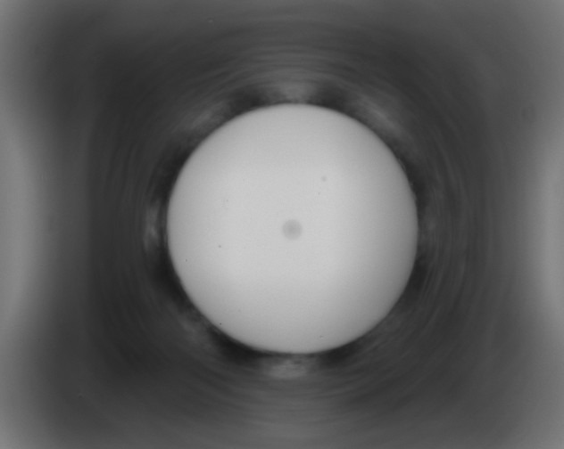 X0000083040122200703022057