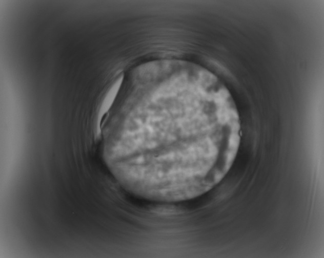 X0000083040123200703022057