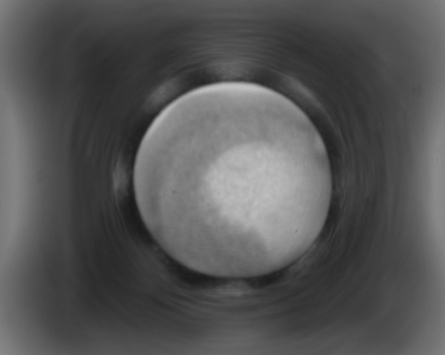 X0000083040124200703022057