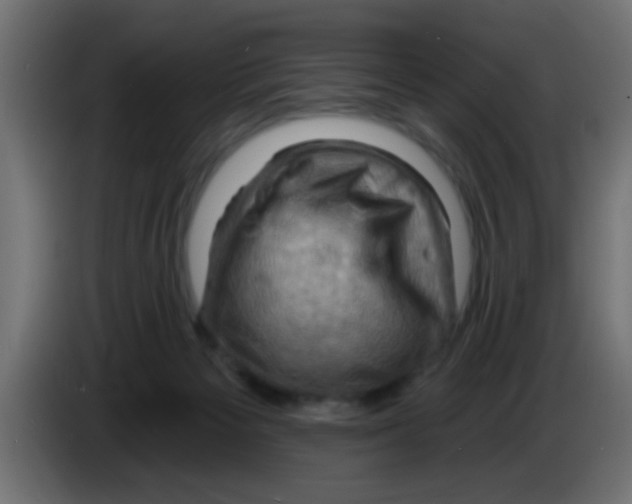 X0000083040125200703022057