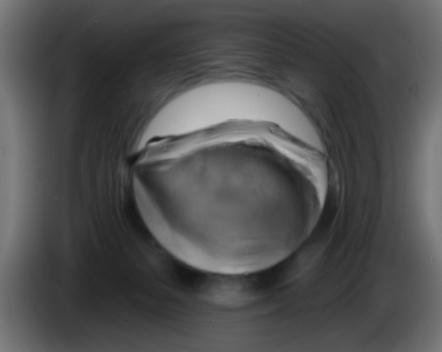 X0000083040127200703022057