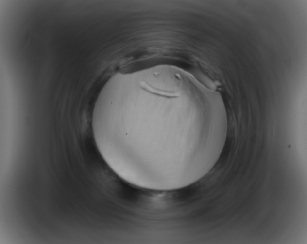X0000083040130200703022057