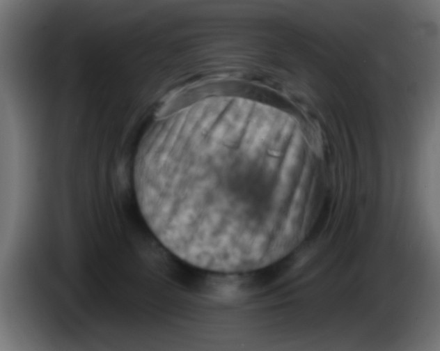 X0000083040131200703022057