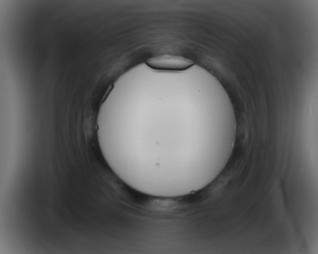 X0000083040133200703022057