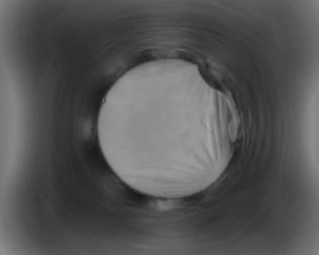 X0000083040134200703022057