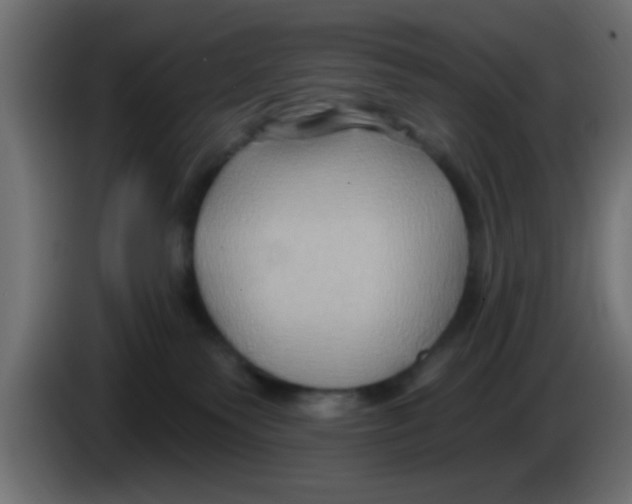X0000083040135200703022057