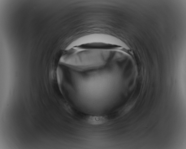 X0000083040137200703022057