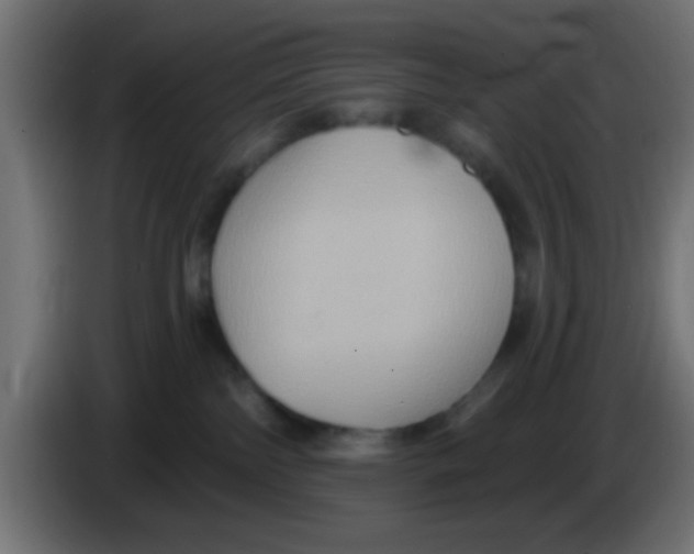 X0000083040138200703022057