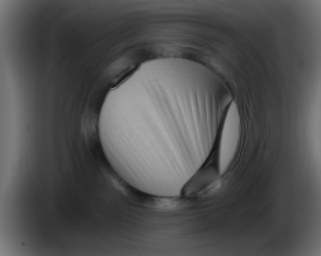 X0000083040141200703022057