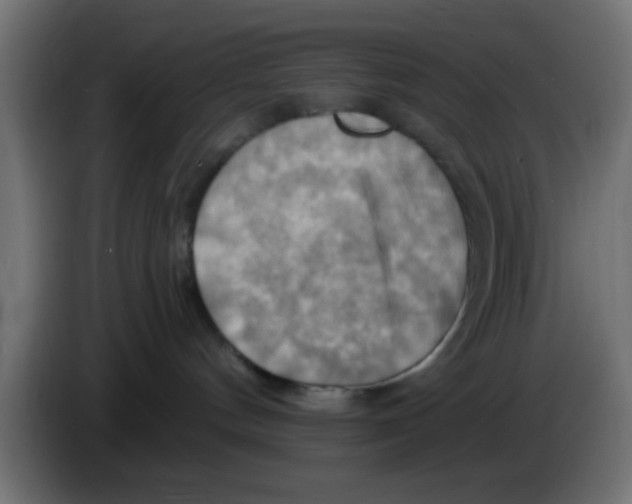 X0000083040144200703022057
