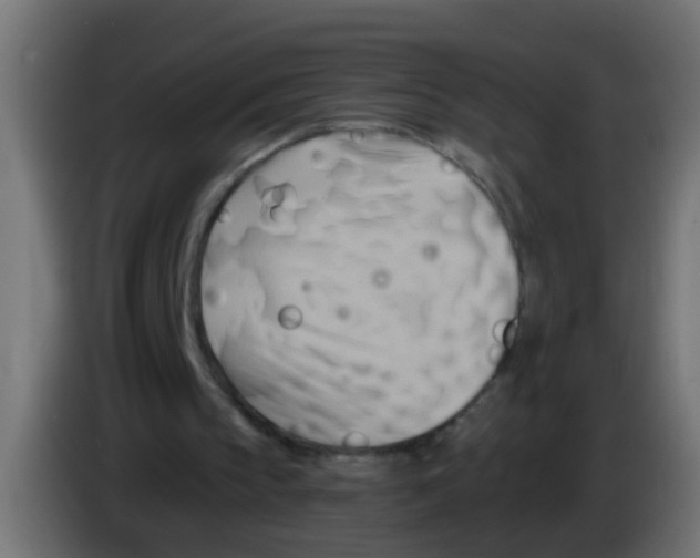 X0000083040145200703022056