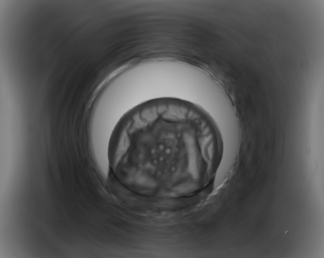 X0000083040146200703022056