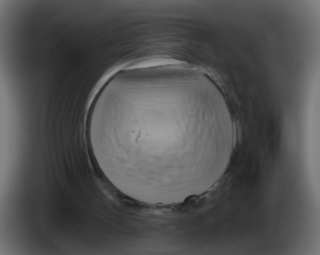 X0000083040147200703022056