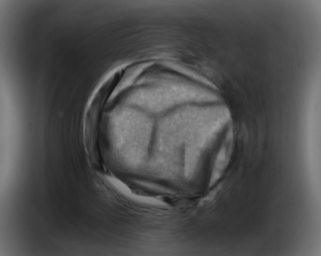 X0000083040148200703022056