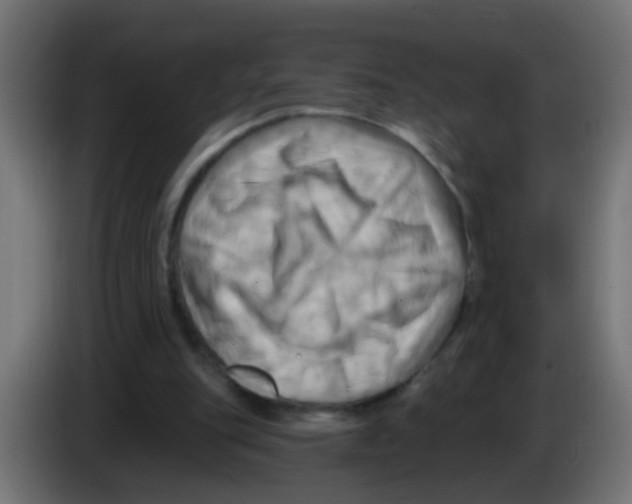 X0000083040151200703022056
