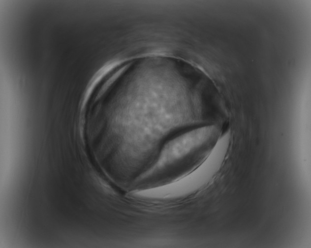 X0000083040152200703022056