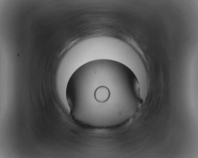 X0000083040154200703022056