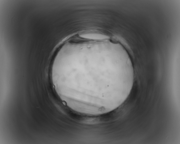 X0000083040155200703022056