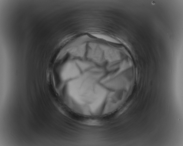 X0000083040157200703022056
