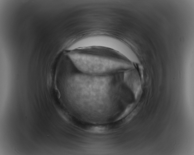 X0000083040158200703022056