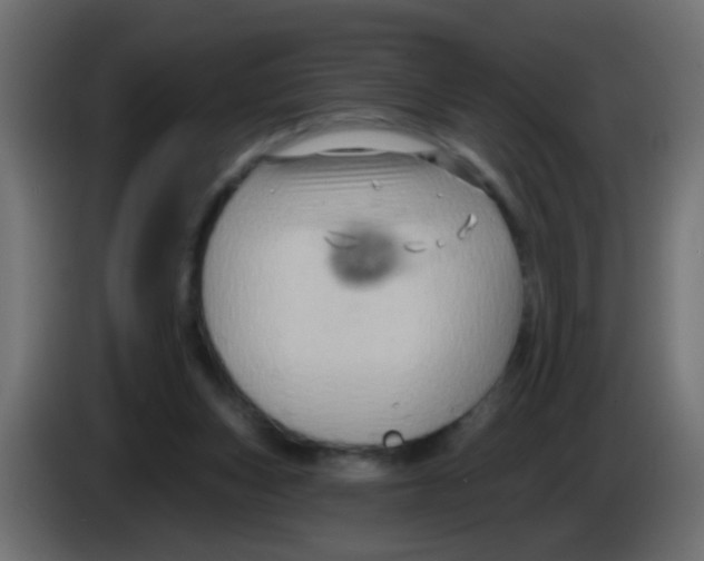 X0000083040159200703022056